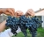 Winorośl Vitis RONDO -  winogron o malinowym smaku